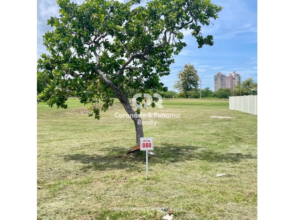 Terreno en Coronado, Palmeras del Golf N-80 — foto 3