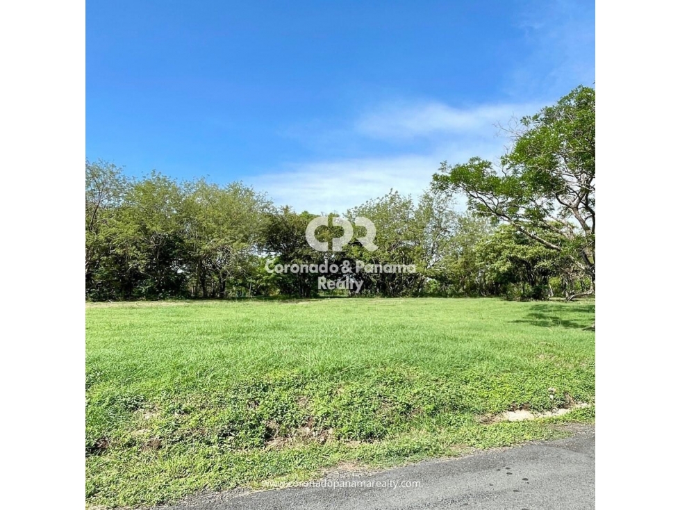 Terreno en venta en Coronado, Palmeras del Golf N-135 - 3