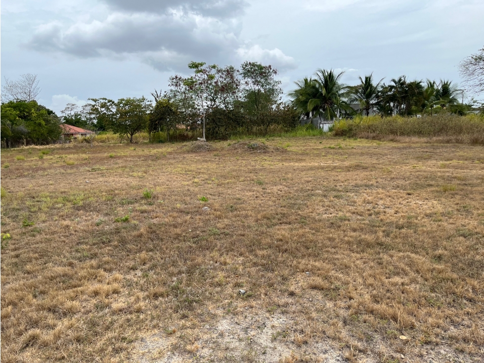 Venta de terreno en Coronado, lote #65 Quintas — foto 4