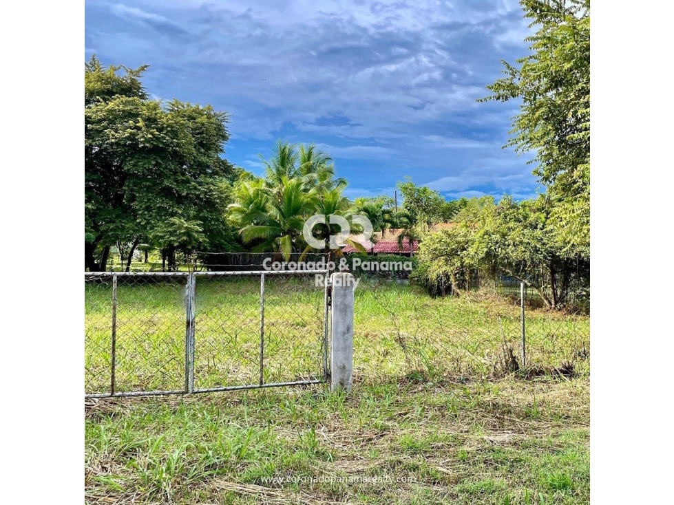 Terreno en Coronado, Parcela M-19, N-8 — foto 4