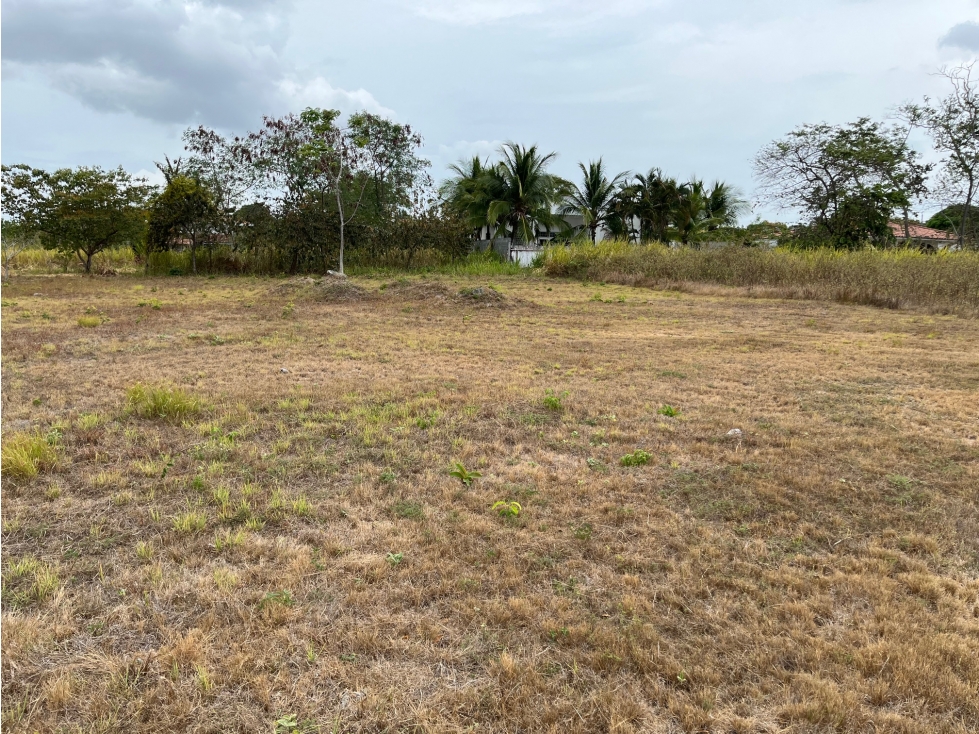 Venta de terreno en Coronado, lote #65 Quintas — foto 5