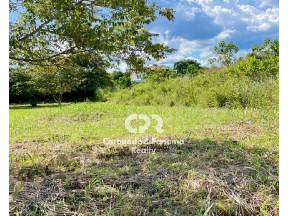 Terreno en Coronado, Bahía Serena 1