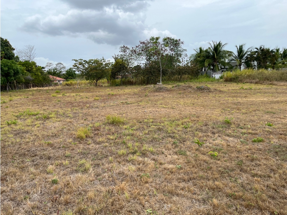 Venta de terreno en Coronado, lote #65 Quintas — foto 6
