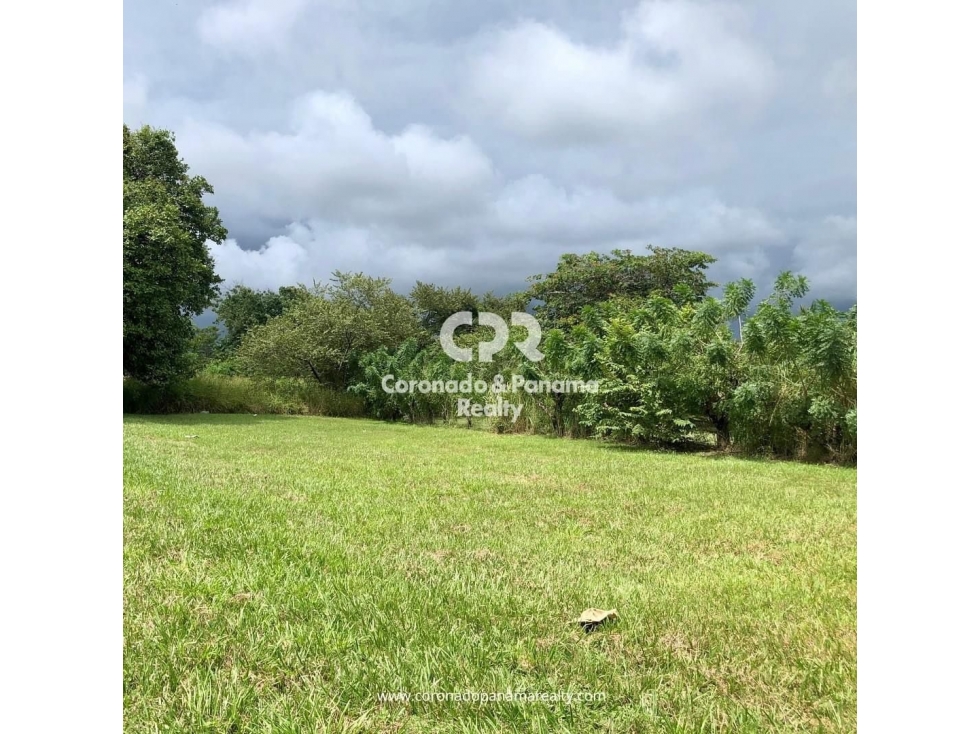 Terreno en Coronado, Parcela Lago — foto 2