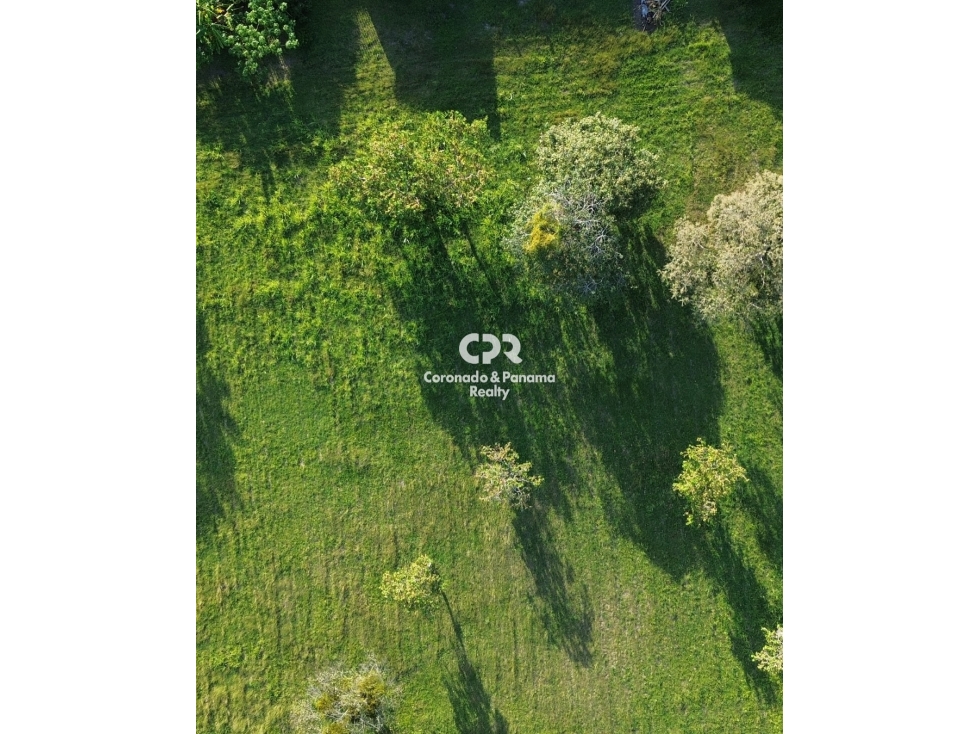 Venta de terreno en Coronado, Palmeras del Golf N°155
