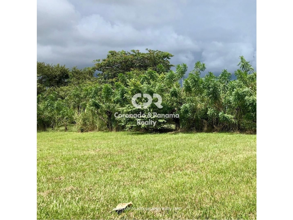 Terreno en Coronado, Parcela Lago — foto 3