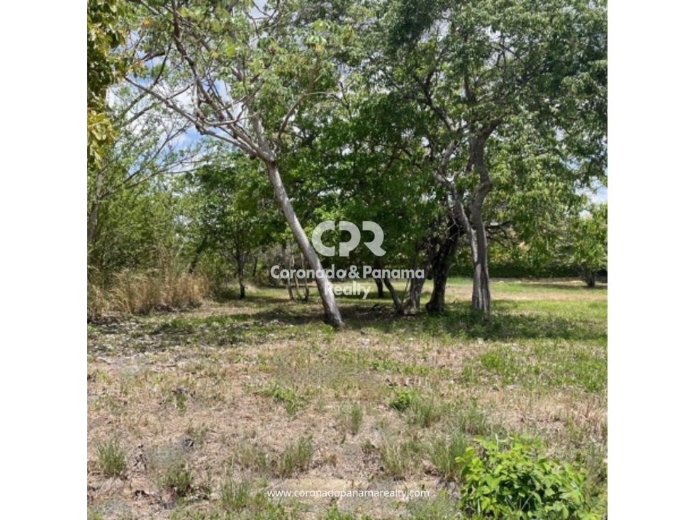 Terreno en Coronado, Bahía Serena 1 — foto 3