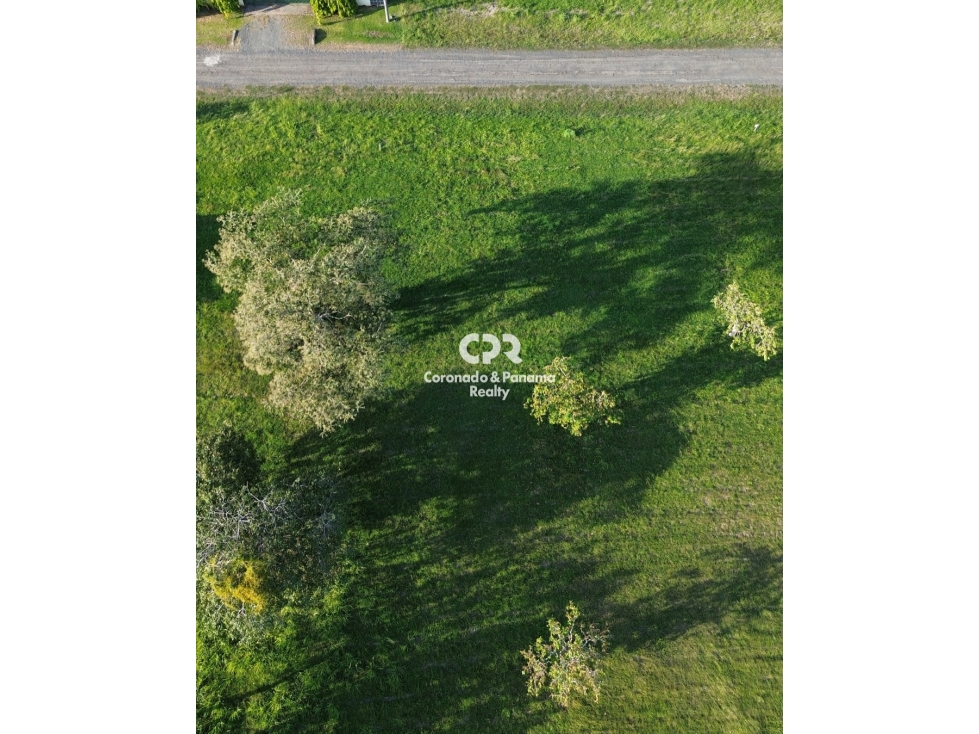Venta de terreno en Coronado, Palmeras del Golf N°155 — foto 2