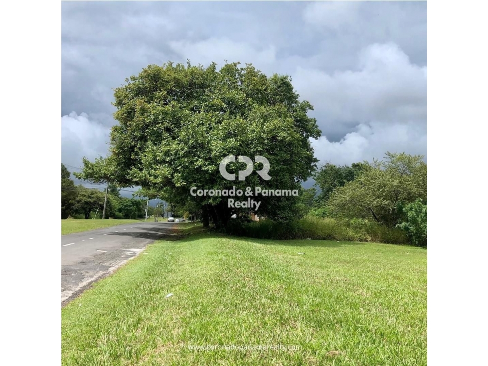 Terreno en Coronado, Parcela Lago — foto 4
