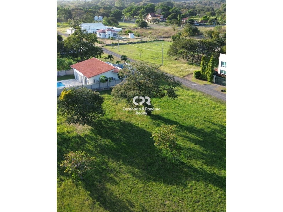 Venta de terreno en Coronado, Palmeras del Golf N°155 — foto 3
