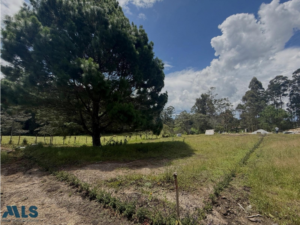 LOTE EN VENTA EN LA CEJA ANTIOQUIA