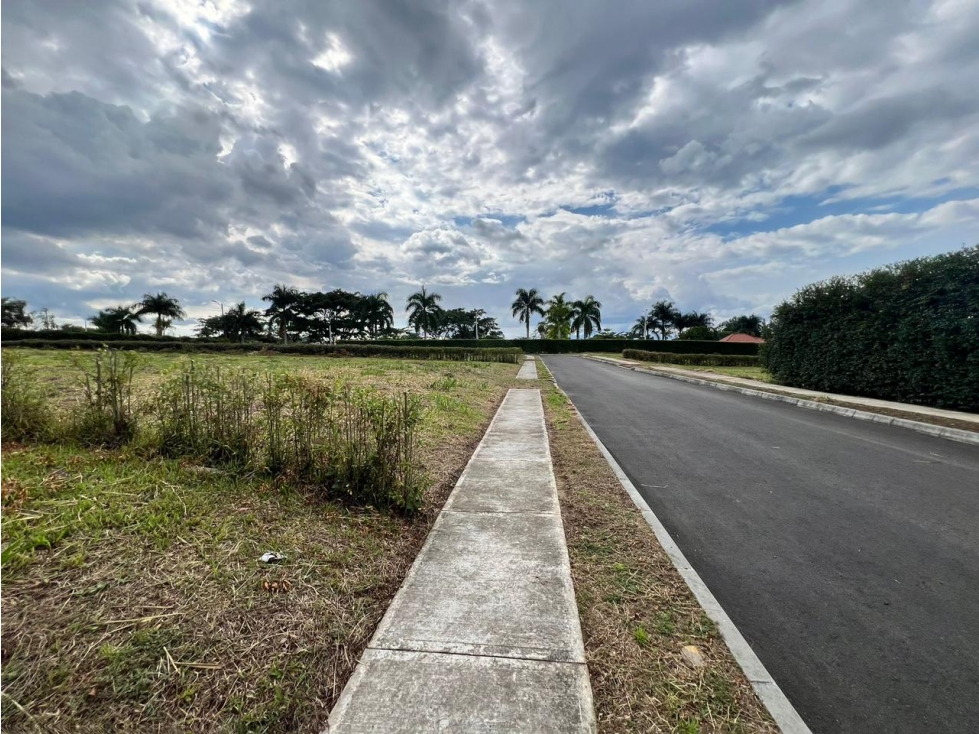Vendo Lotes Pereira Cerritos