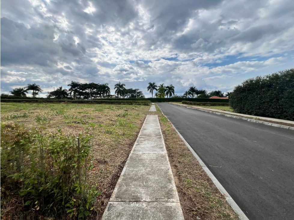 Vendo Lotes Pereira Cerritos — foto 2