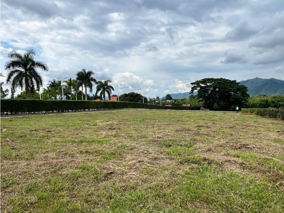 Vendo Lotes Pereira Cerritos — foto 3