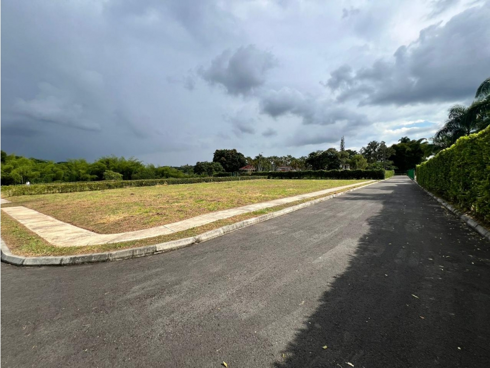 Vendo Lotes Pereira Cerritos — foto 6