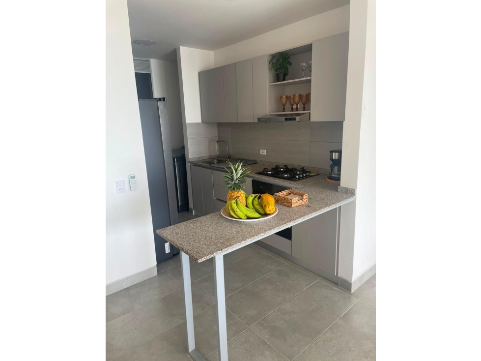 VENTA DE APARTAMENTO PARA ESTRENAR RENTAS TURISTICAS DON JACA - VT228 — foto 5