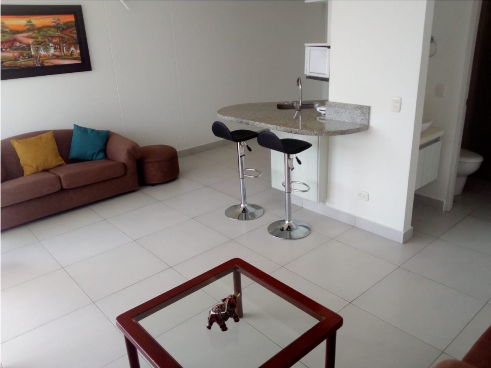 VENTA DE APARTAMENTO PARA RENTAS CORTAS EN EL RODADERO SUR - VT105 — foto 2
