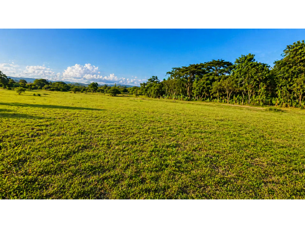 FINCA PRODUCTIVA EN VENTA | 68 HECTÁREAS, Petrillo - 3