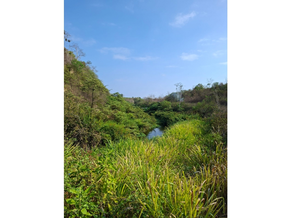 Terreno agrícola de 115 ha. con riego en San Lorenzo Del Mate Progreso - 3