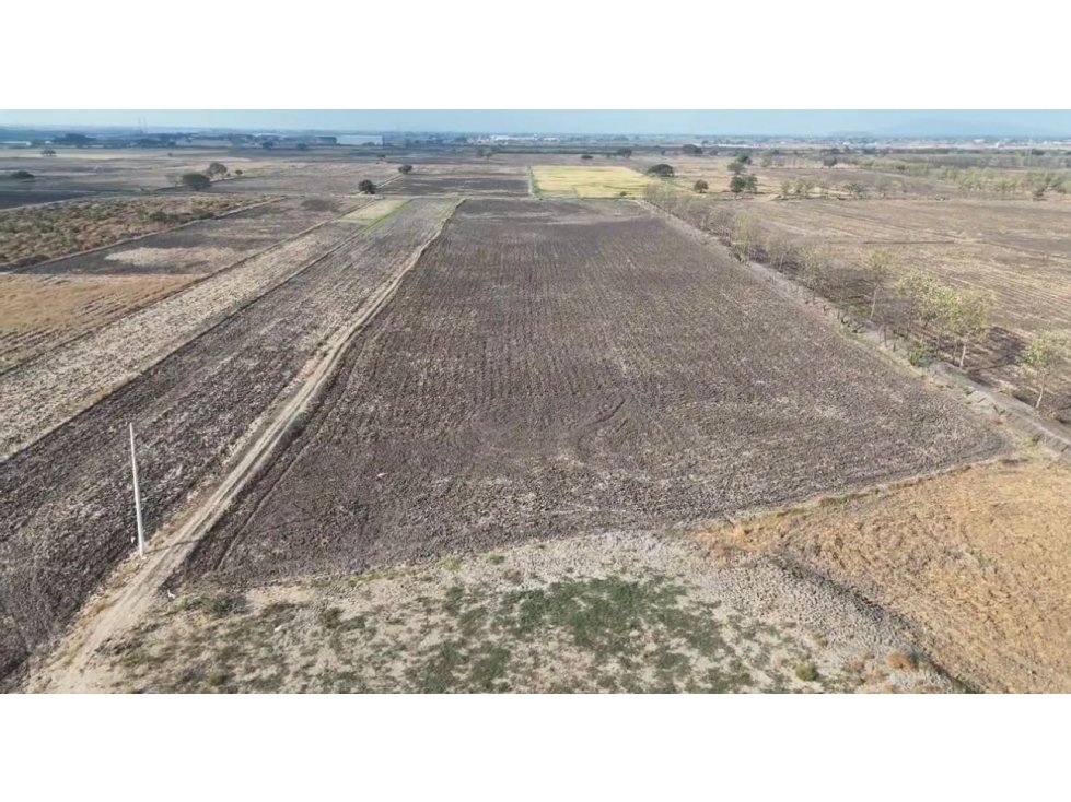 Terreno en Venta Recinto La Barranca,Nuevo Samborondón (4.03 Ha)
