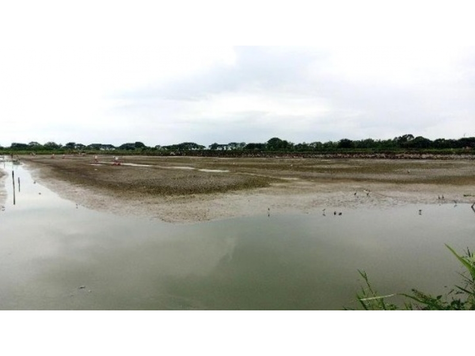 CAMARONERA PRODUCTIVA EN VENTA 204 HECTÁREAS | TENGUEL, GUAYAS — foto 4