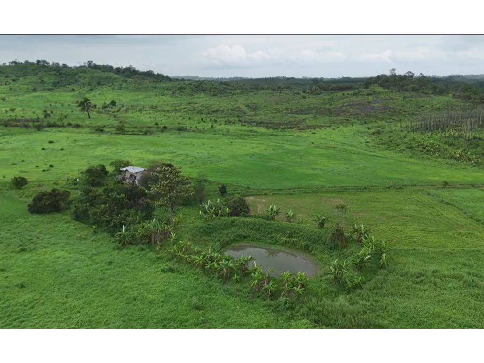 FINCA EN VENTA, 70 Ha - Pedro Carbo, Prov. Guayas - 4