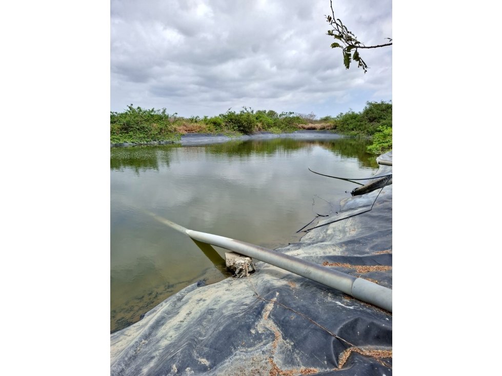 FINCA AGRÍCOLA EN VENTA 130 HECTÁREAS | Chanduy - 3