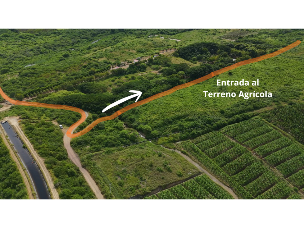 PROPIEDAD AGRÍCOLA | 183 HECTÁREAS, San Rafael - 1