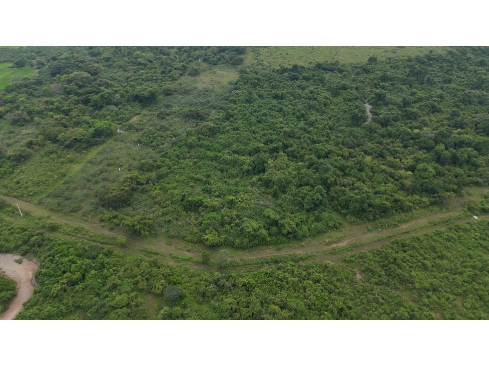 TERRENO EN VENTA | 18 Hectáreas, Los Lojas - 2
