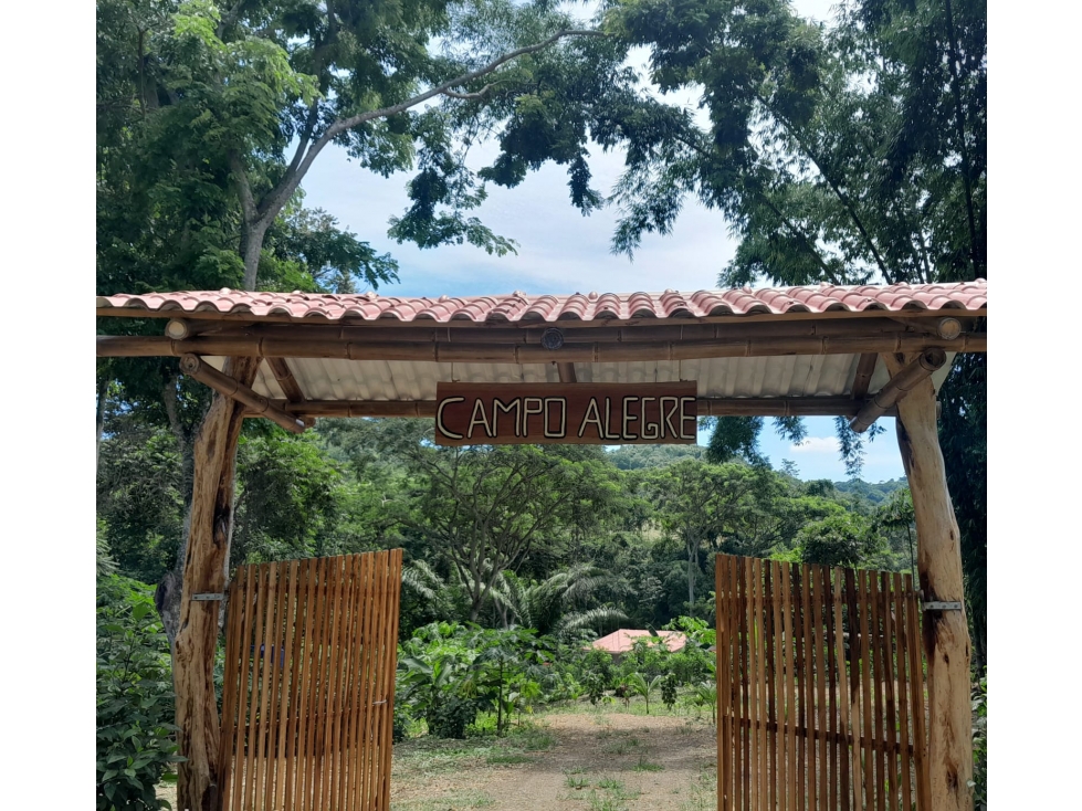FINCA AGROECOLÓGICA EN VENTA | 1.16 Ha - Manabí - 1