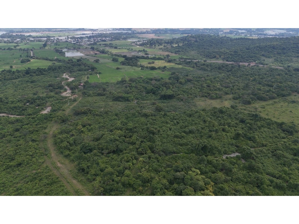 TERRENO EN VENTA | 18 Hectáreas, Los Lojas - 3