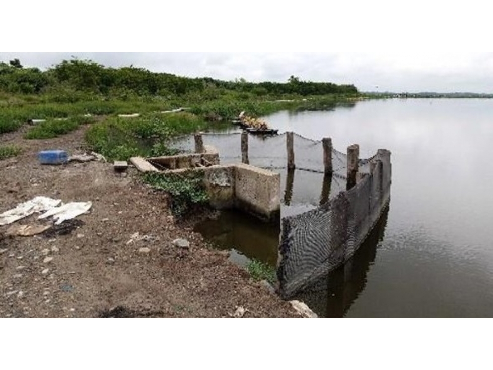 CAMARONERA PRODUCTIVA EN VENTA 204 HECTÁREAS | TENGUEL, GUAYAS — foto 2