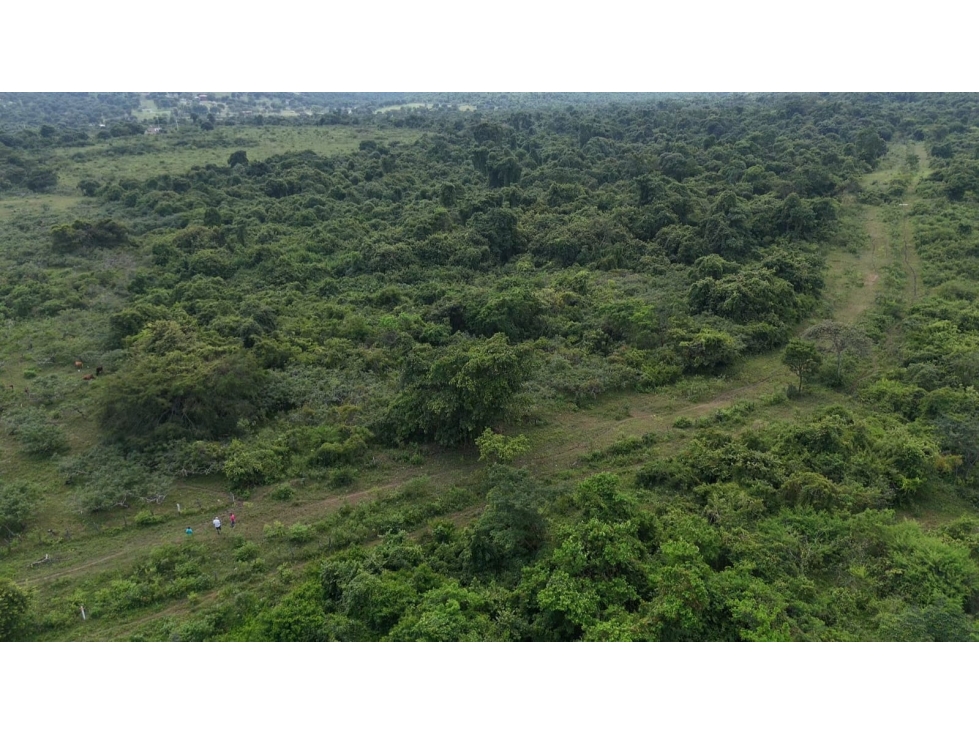 TERRENO EN VENTA | 18 Hectáreas, Los Lojas - 4