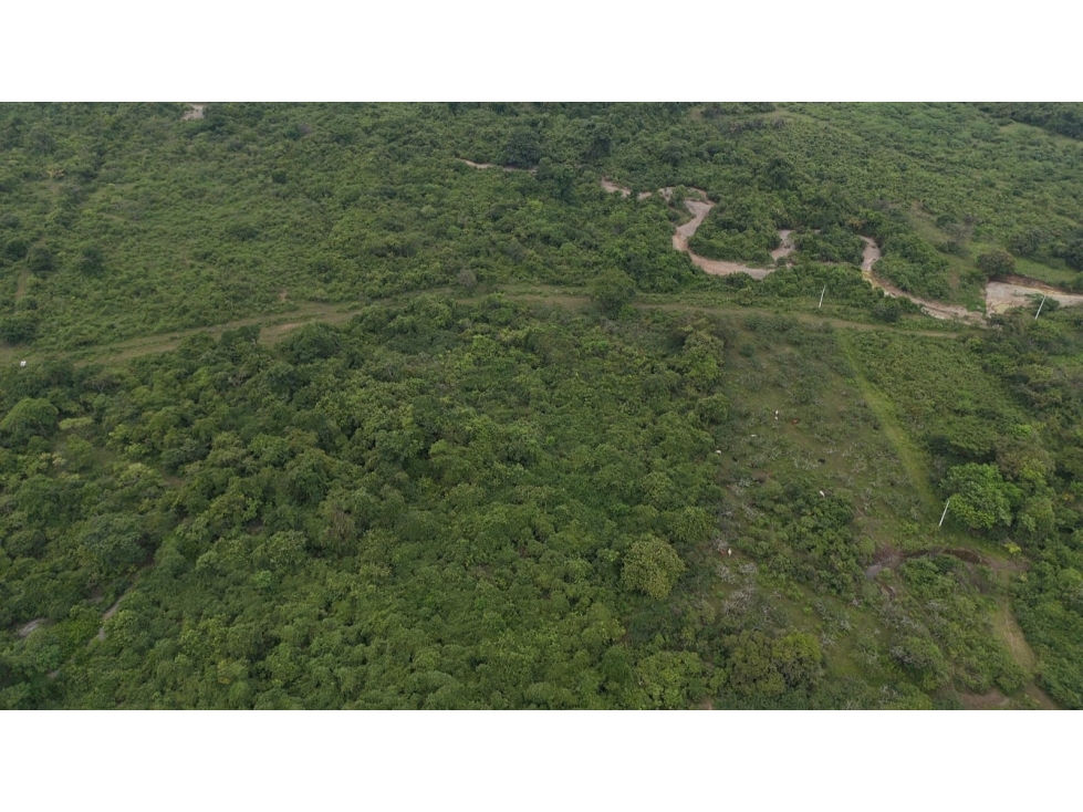 TERRENO EN VENTA | 18 Hectáreas, Los Lojas - 5