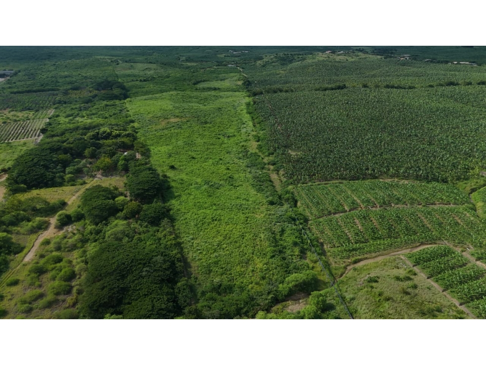 PROPIEDAD AGRÍCOLA | 183 HECTÁREAS, San Rafael - 2