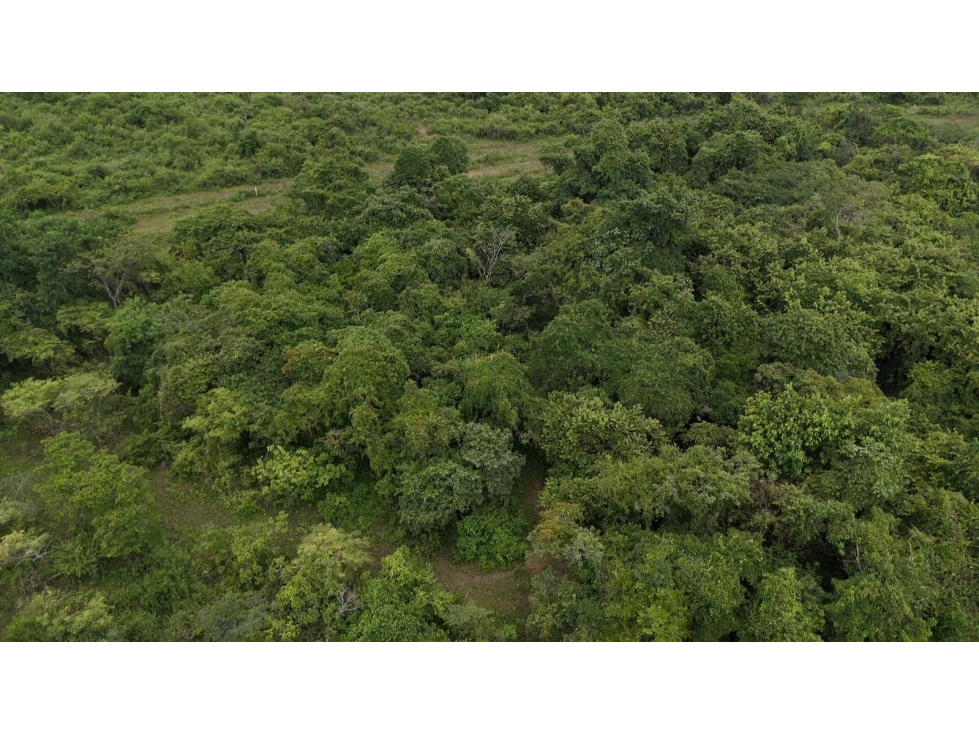 TERRENO EN VENTA | 18 Hectáreas, Los Lojas - 6