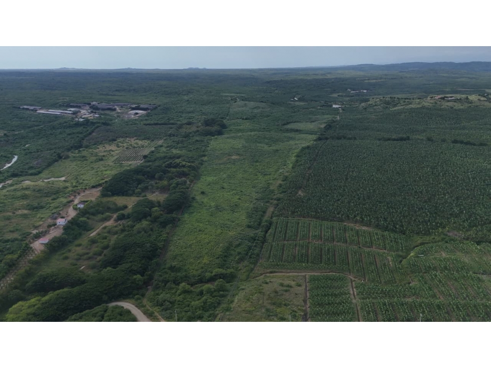PROPIEDAD AGRÍCOLA | 183 HECTÁREAS, San Rafael - 4