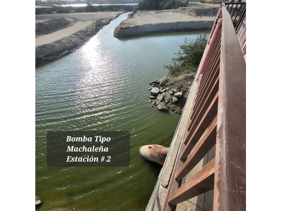 Camaronera en Venta 41.72 Ha Chanduy Santa Elena - 4