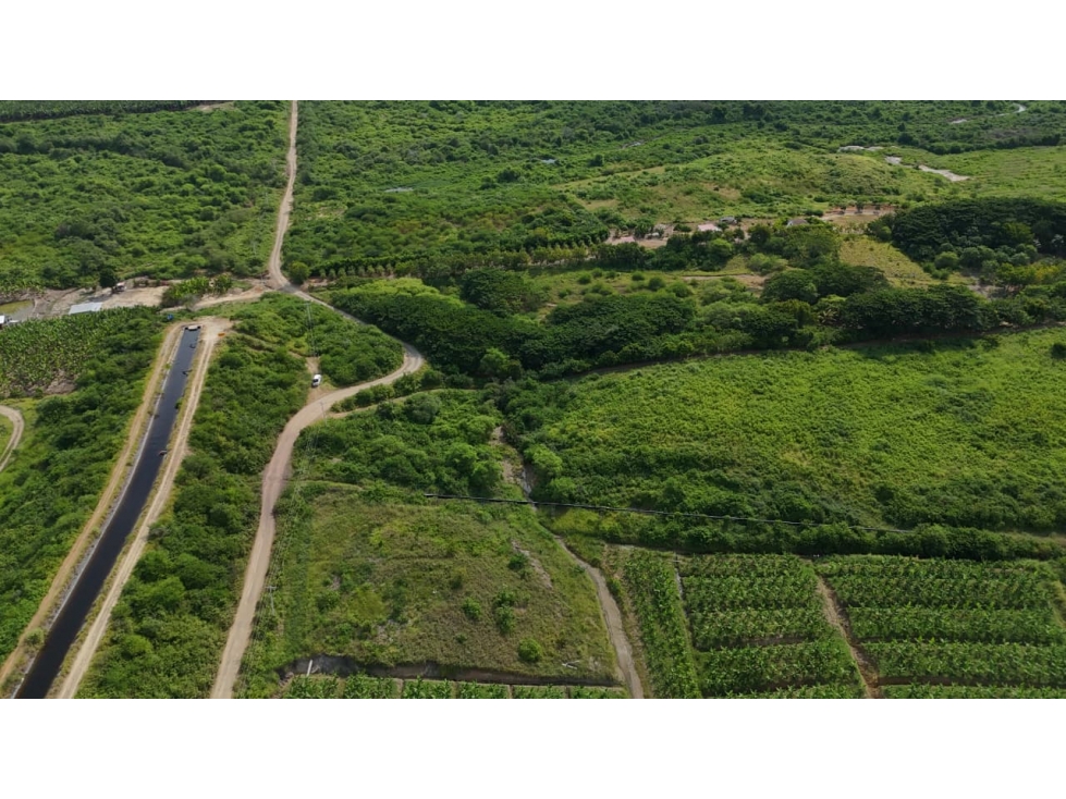 PROPIEDAD AGRÍCOLA | 183 HECTÁREAS, San Rafael - 5