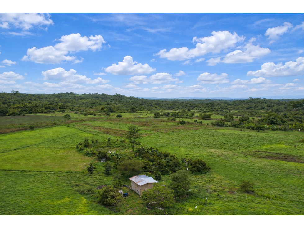 FINCA EN VENTA, 70 Ha - Pedro Carbo, Prov. Guayas - 2