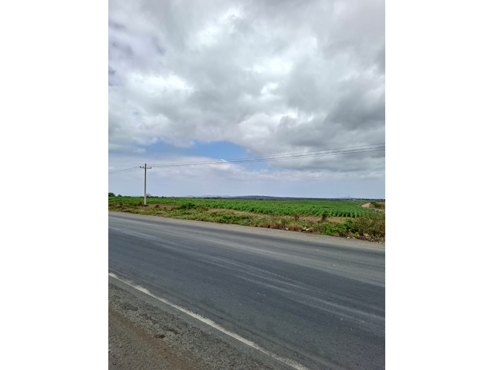 FINCA AGRÍCOLA EN VENTA 130 HECTÁREAS | Chanduy - 5