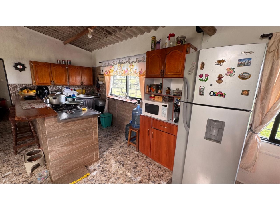 Vendo Finca Correg. Ovejas San Pedro de los Milagros — foto 4
