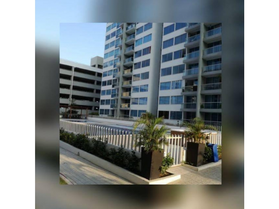 Vendo Hermoso Apto Amoblado Miramar — foto 4