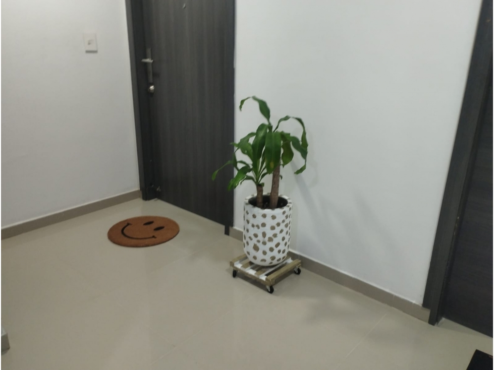 APARTAMENTO EN VENTA EN VILLA SANTOS — foto 2