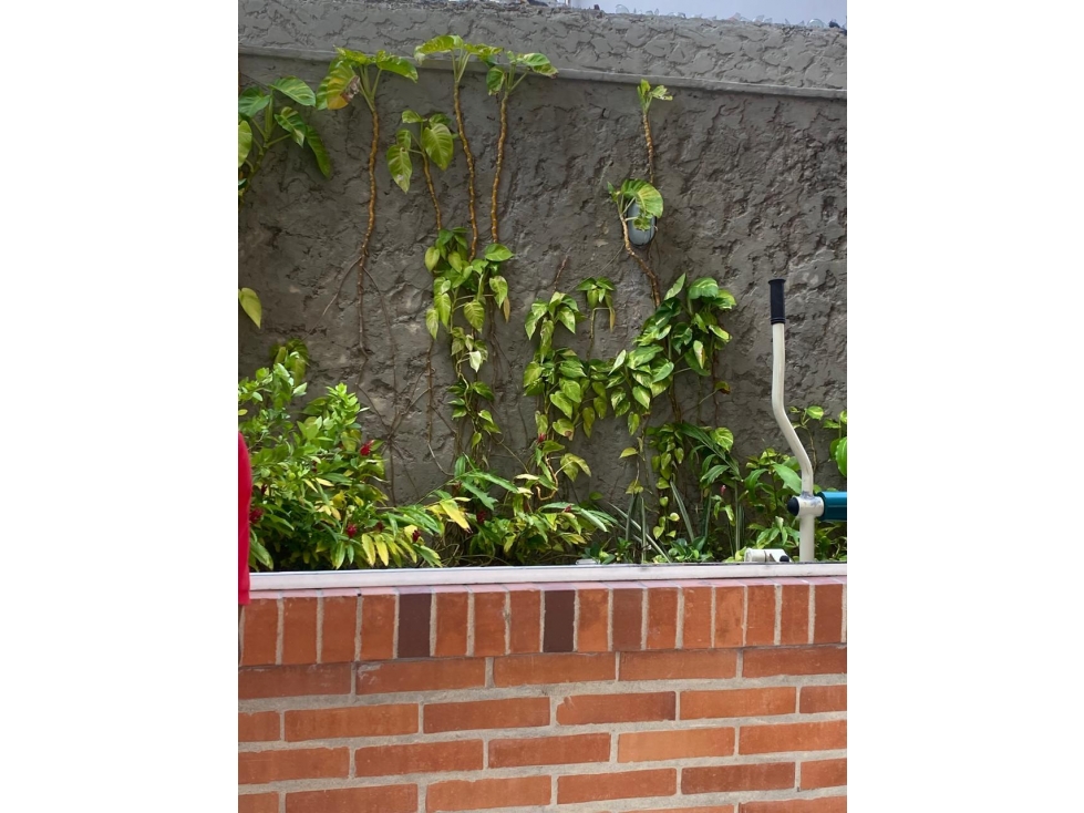 HERMOSO Y ACOGEDOR APTO EN VENTA EN LOS ALPES — foto 2