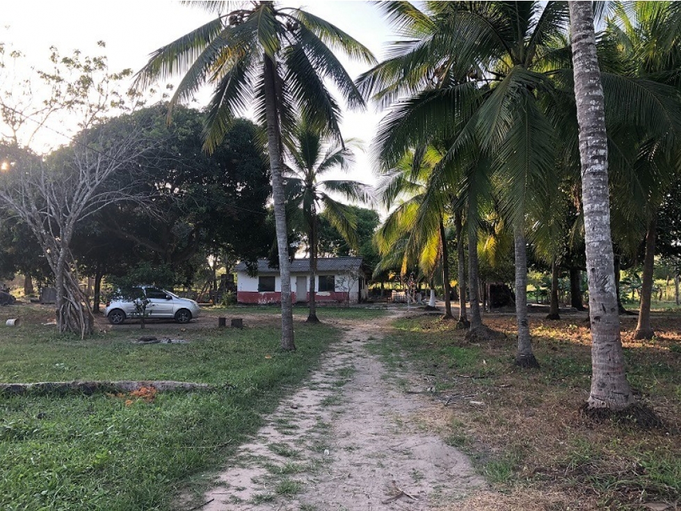 Lote de uso mixto en Galapa-ENTRADA POR CIRCUNVALAR LA PROSPERIDAD - 3