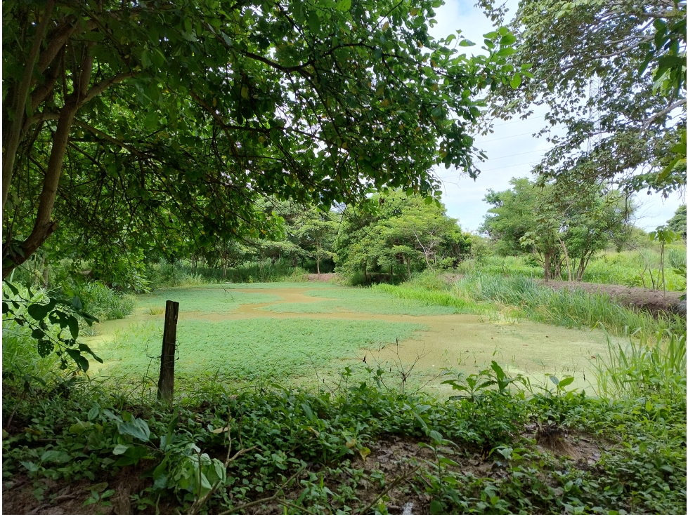Lote de uso mixto en Galapa-ENTRADA POR CIRCUNVALAR LA PROSPERIDAD - 6