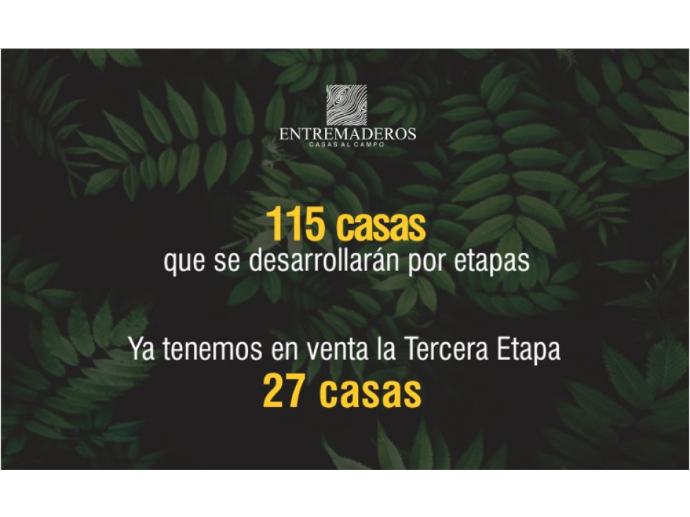 EN VENTA PROYECTO SOBRE PLANOS DE CASAS EN CIRCASIA — foto 2