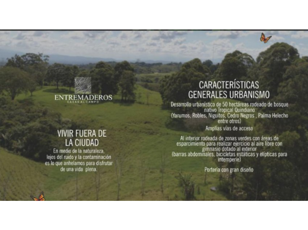 EN VENTA PROYECTO SOBRE PLANOS DE CASAS EN CIRCASIA — foto 6