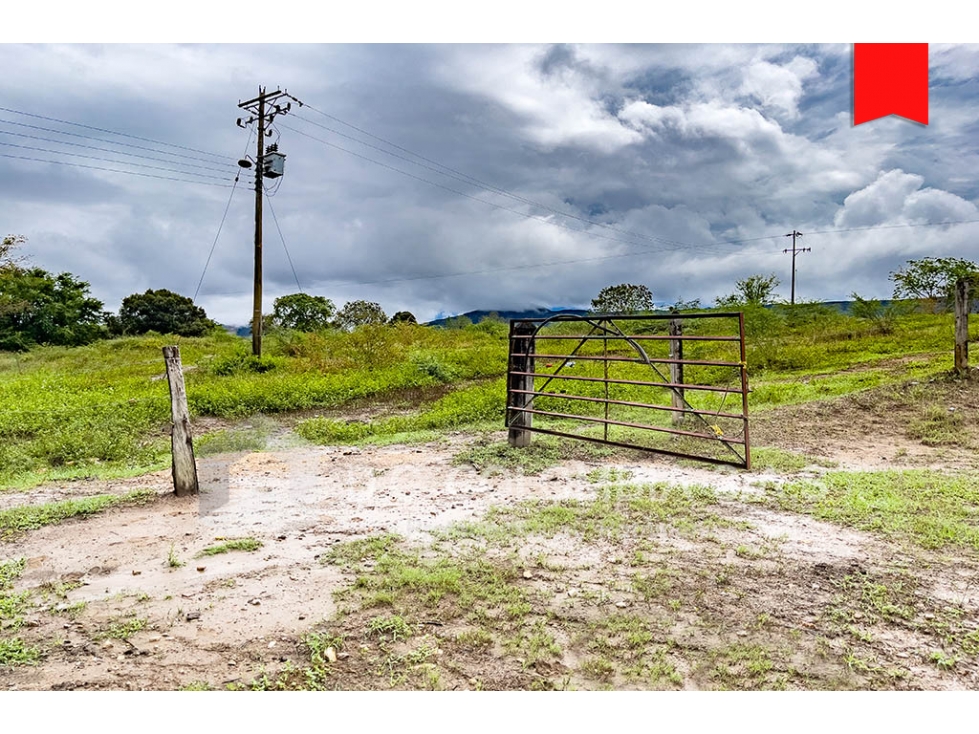 LOTE EN VENTA EN VEREDA CAÑAVERAL - SUAREZ TOLIMA LOTE LA CEIBA 1A - 1